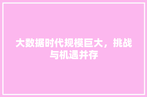 大数据时代规模巨大，挑战与机遇并存