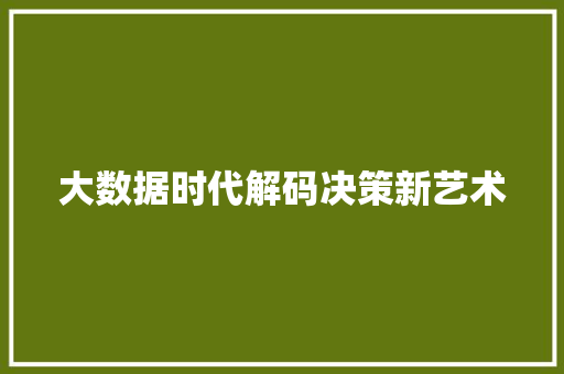 大数据时代解码决策新艺术