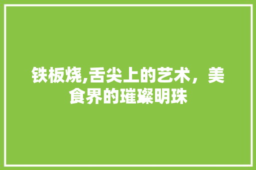 铁板烧,舌尖上的艺术，美食界的璀璨明珠