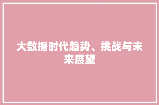 大数据时代趋势、挑战与未来展望