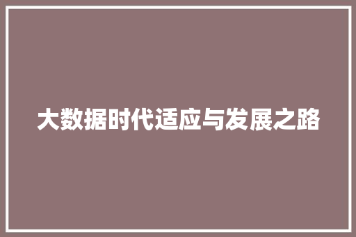 大数据时代适应与发展之路 网站建设