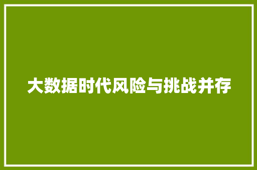 大数据时代风险与挑战并存