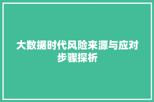 大数据时代风险来源与应对步骤探析
