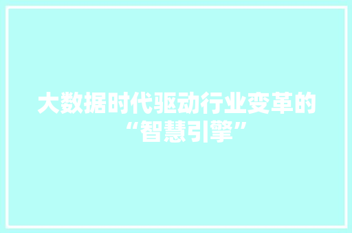 大数据时代驱动行业变革的“智慧引擎”