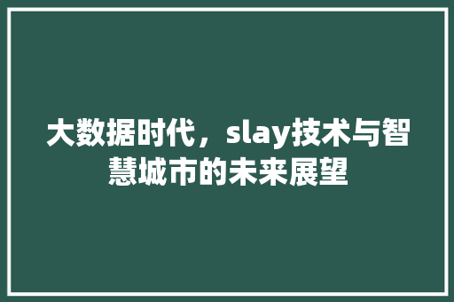 大数据时代，slay技术与智慧城市的未来展望