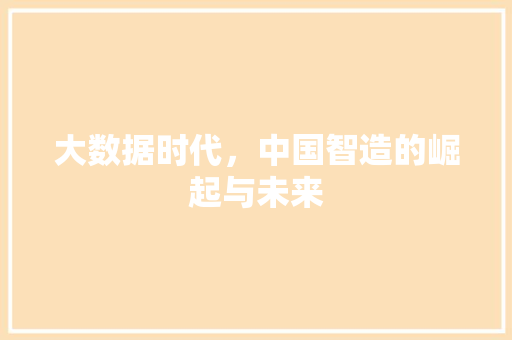大数据时代，中国智造的崛起与未来