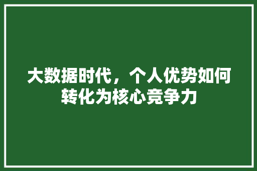 大数据时代，个人优势如何转化为核心竞争力