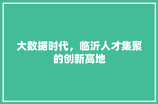 大数据时代，临沂人才集聚的创新高地 商务信函