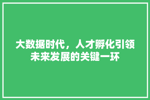 大数据时代，人才孵化引领未来发展的关键一环