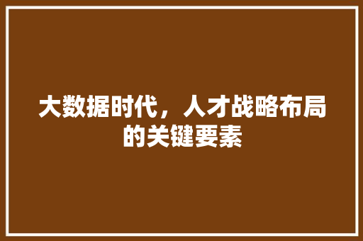 大数据时代，人才战略布局的关键要素