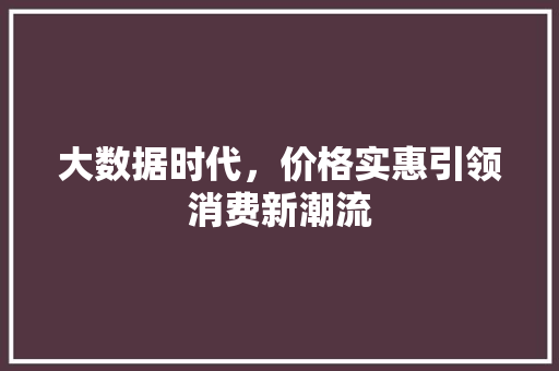 大数据时代，价格实惠引领消费新潮流