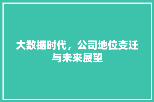 大数据时代，公司地位变迁与未来展望
