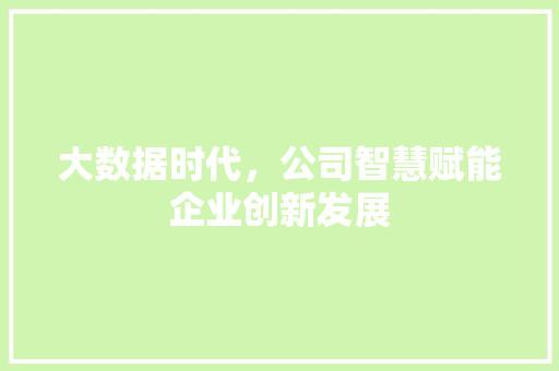 大数据时代，公司智慧赋能企业创新发展