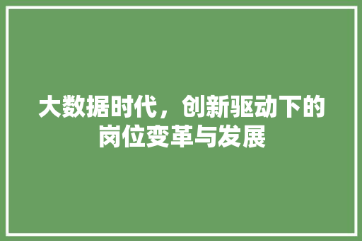 大数据时代，创新驱动下的岗位变革与发展