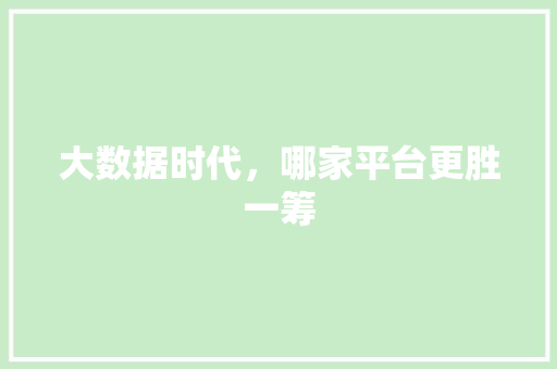 大数据时代，哪家平台更胜一筹