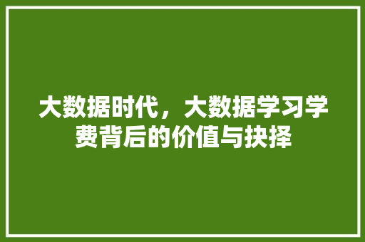 大数据时代，大数据学习学费背后的价值与抉择