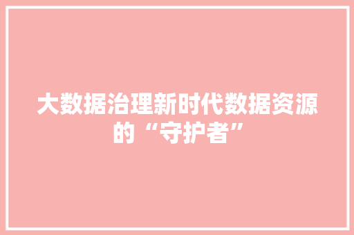大数据治理新时代数据资源的“守护者”