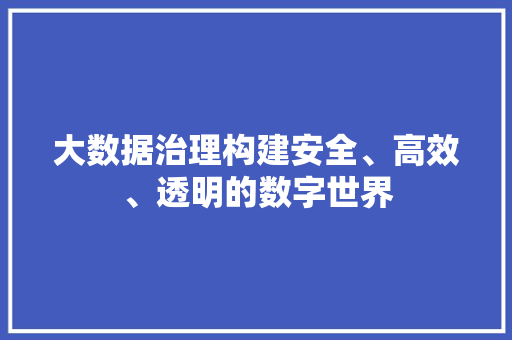大数据治理构建安全、高效、透明的数字世界