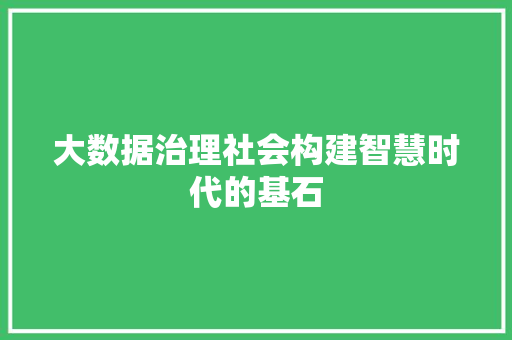 大数据治理社会构建智慧时代的基石