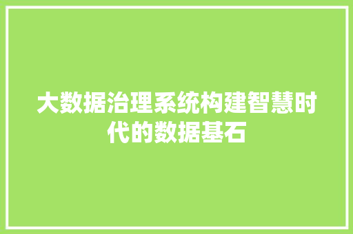 大数据治理系统构建智慧时代的数据基石