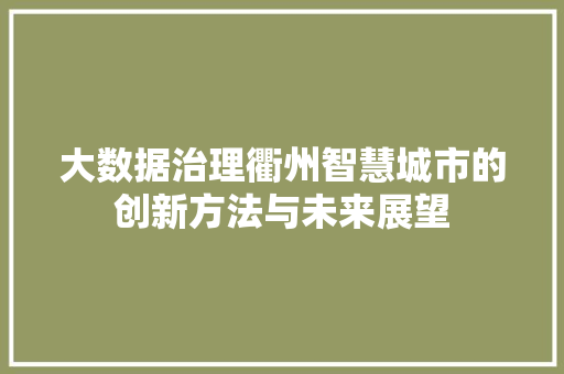 大数据治理衢州智慧城市的创新方法与未来展望