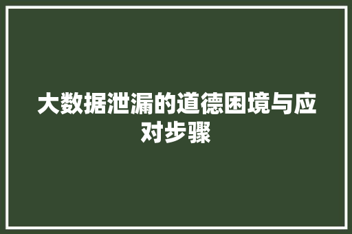 大数据泄漏的道德困境与应对步骤