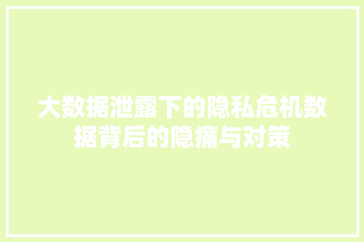 大数据泄露下的隐私危机数据背后的隐痛与对策
