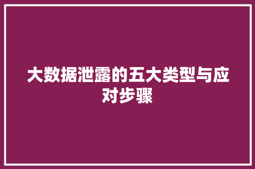 大数据泄露的五大类型与应对步骤