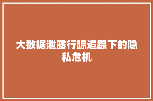 大数据泄露行踪追踪下的隐私危机