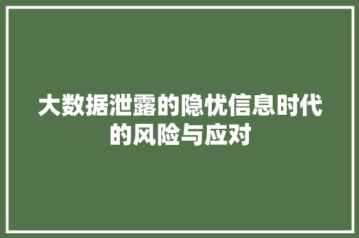 大数据泄露的隐忧信息时代的风险与应对