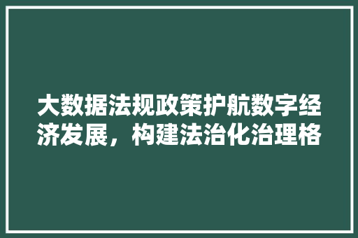 大数据法规政策护航数字经济发展，构建法治化治理格局