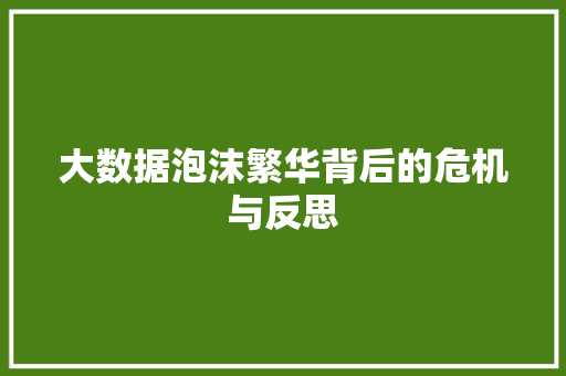 大数据泡沫繁华背后的危机与反思
