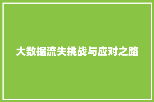 大数据流失挑战与应对之路