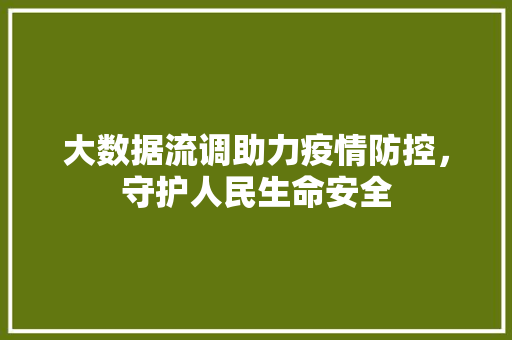 大数据流调助力疫情防控，守护人民生命安全