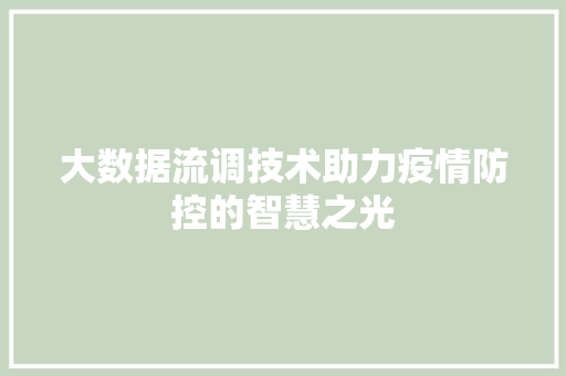 大数据流调技术助力疫情防控的智慧之光