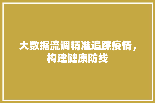 大数据流调精准追踪疫情，构建健康防线