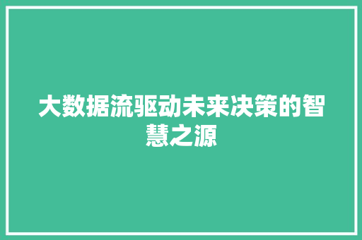大数据流驱动未来决策的智慧之源