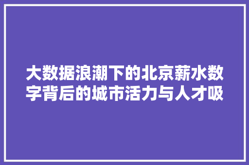 大数据浪潮下的北京薪水数字背后的城市活力与人才吸引力