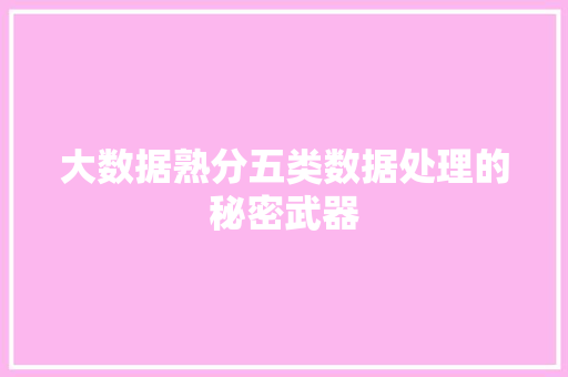 大数据熟分五类数据处理的秘密武器