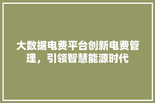 大数据电费平台创新电费管理，引领智慧能源时代