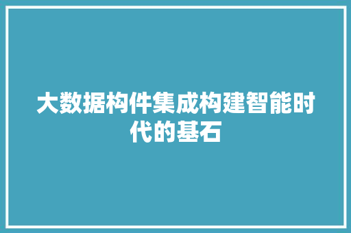 大数据构件集成构建智能时代的基石