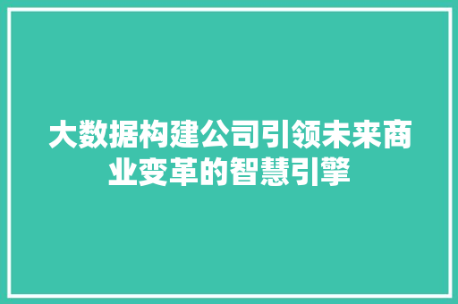 大数据构建公司引领未来商业变革的智慧引擎