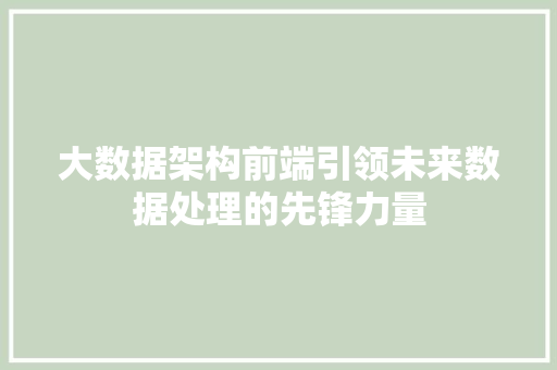 大数据架构前端引领未来数据处理的先锋力量