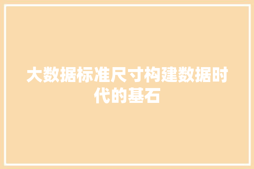 大数据标准尺寸构建数据时代的基石