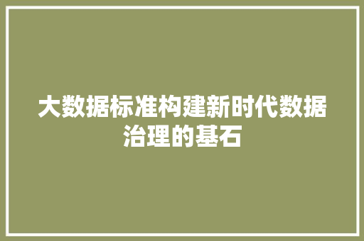 大数据标准构建新时代数据治理的基石