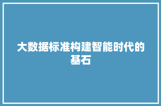 大数据标准构建智能时代的基石