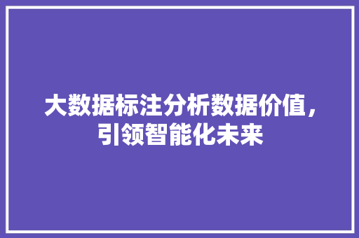 大数据标注分析数据价值，引领智能化未来