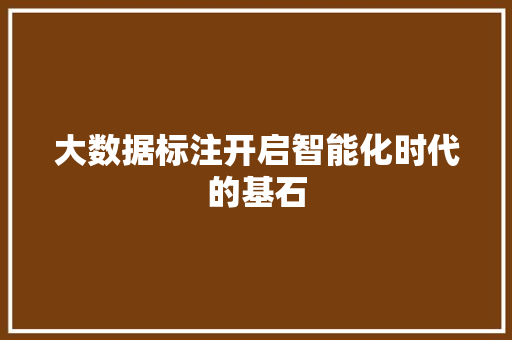 大数据标注开启智能化时代的基石