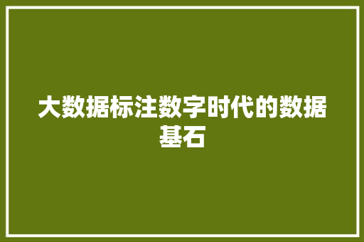 大数据标注数字时代的数据基石