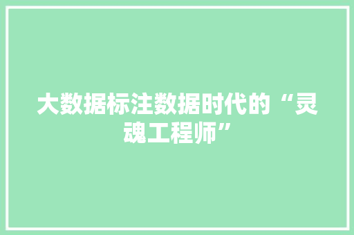 大数据标注数据时代的“灵魂工程师”